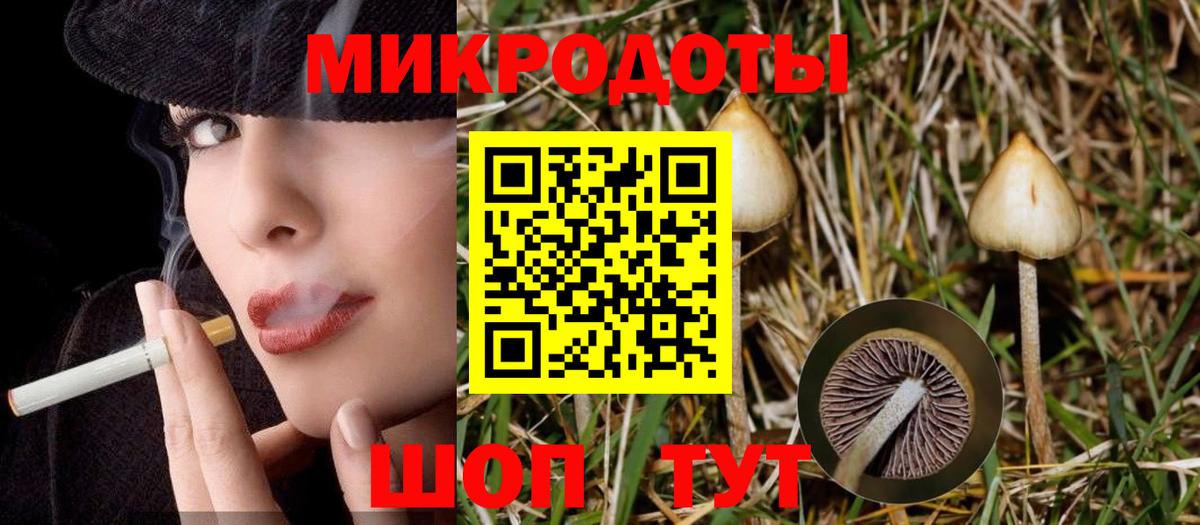 Борзя  Псилоцибиновые грибы Psilocybe  Вход с VPN 